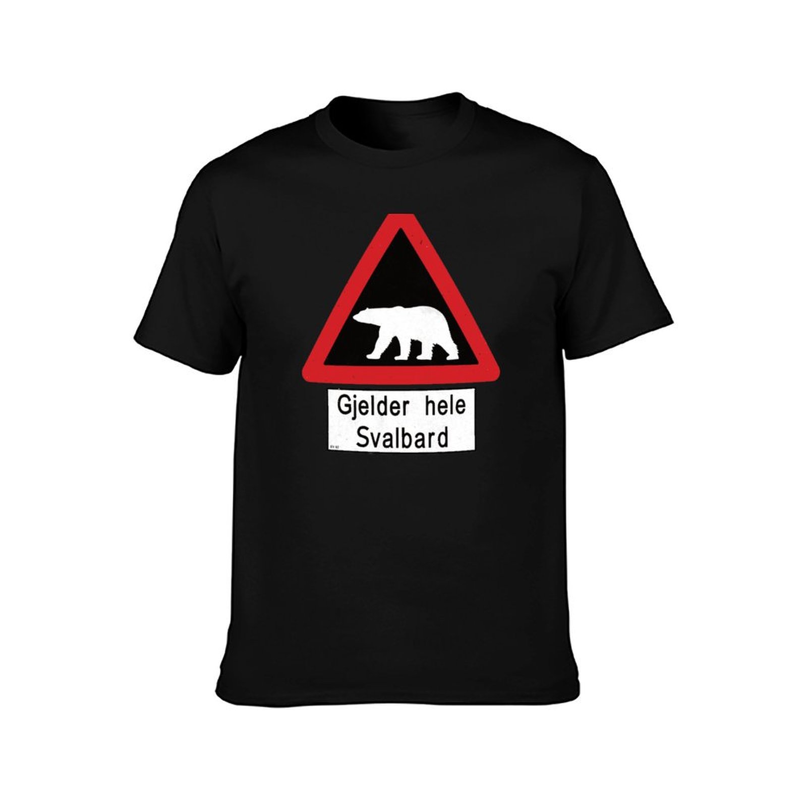 Svalbard Beware of Polar Bears – обзор и цена Summer Clothing Aesthetic