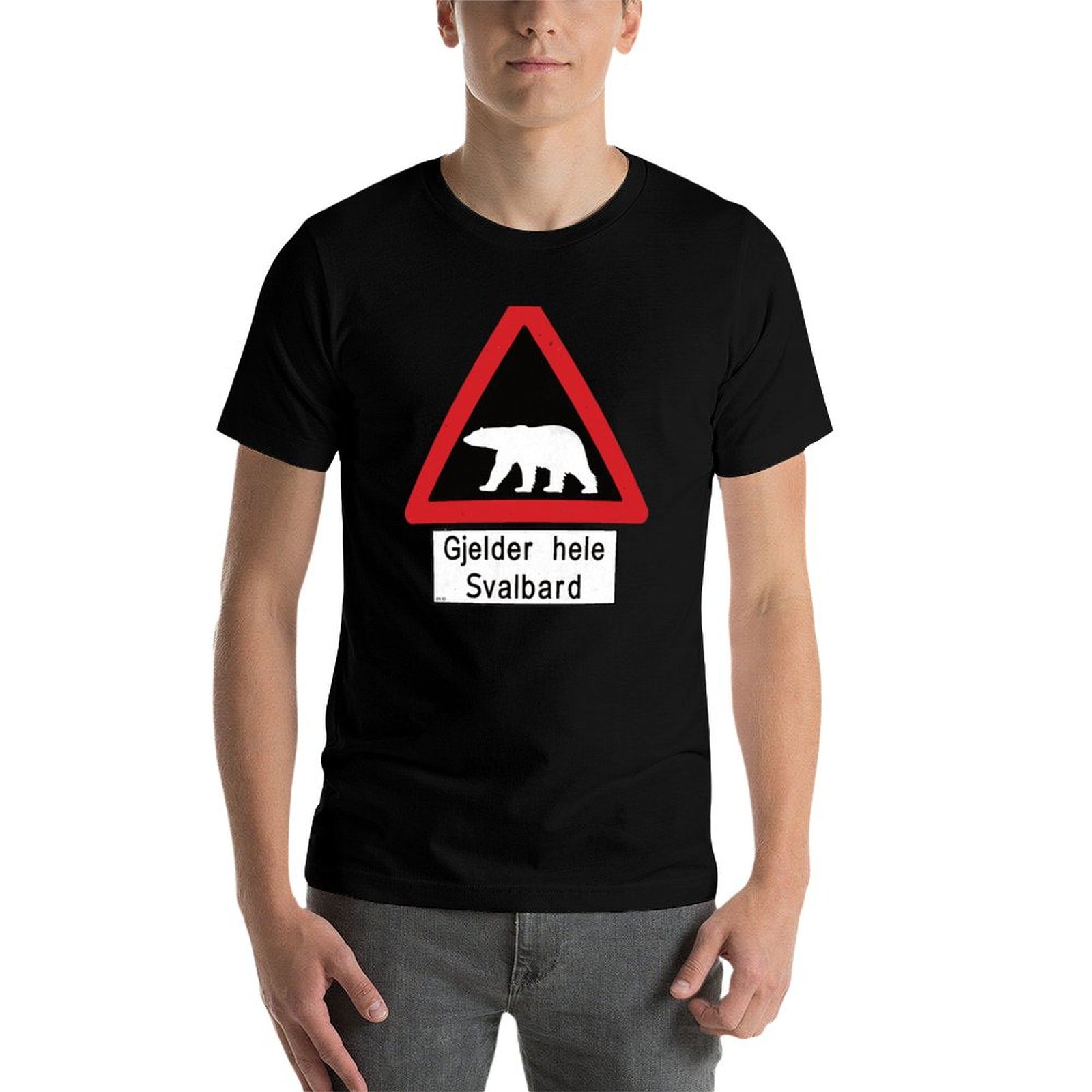 Svalbard Beware of Polar Bears – обзор и цена Summer Clothing Aesthetic